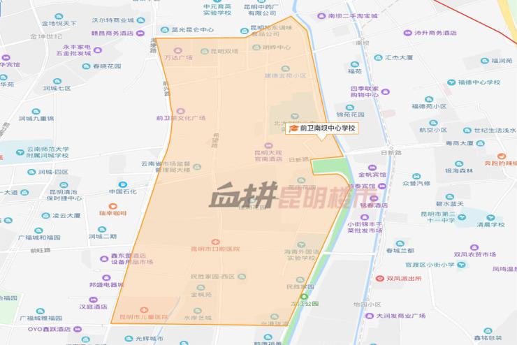 南市区小学最新新闻，南市区小学最新动态报道