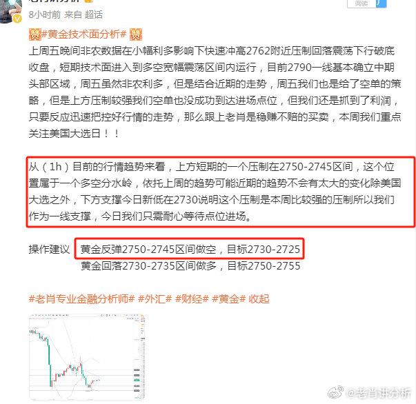 精准一肖一码揭老钱庄,前沿解析评估_专家版66.299