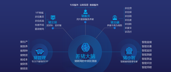 最准一码一肖100%凤凰网,实地数据验证策略_挑战版91.521