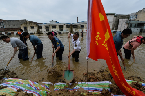 雷锋心水论枟,经典案例解释定义_BT89.241