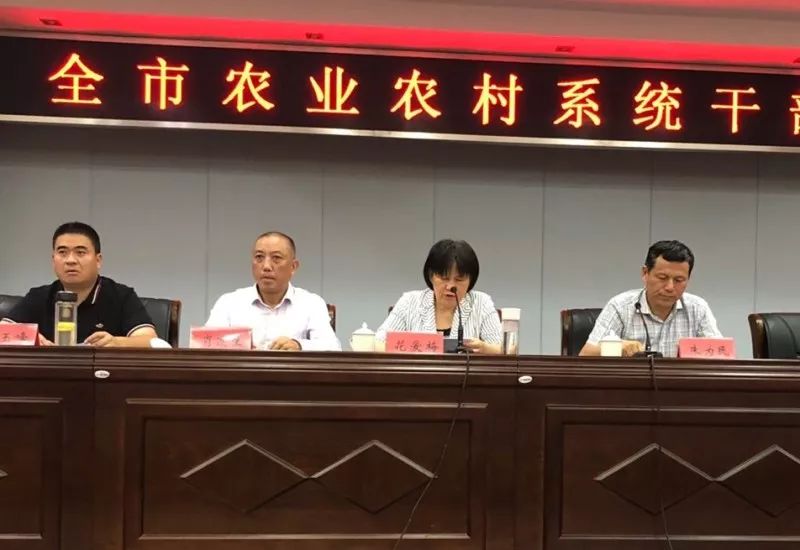 凤翔县农业农村局最新人事任命，推动农业现代化与地方经济发展相融合，凤翔县农业农村局人事任命推动农业现代化与地方经济融合新篇章