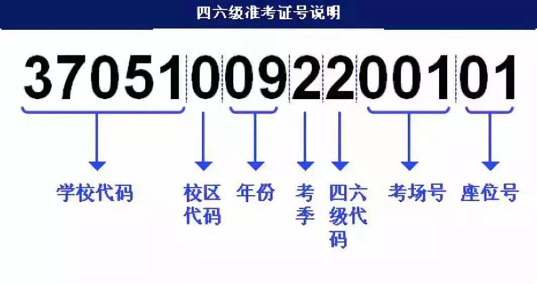 澳门王中王100%期期中,可靠计划策略执行_RX版80.798