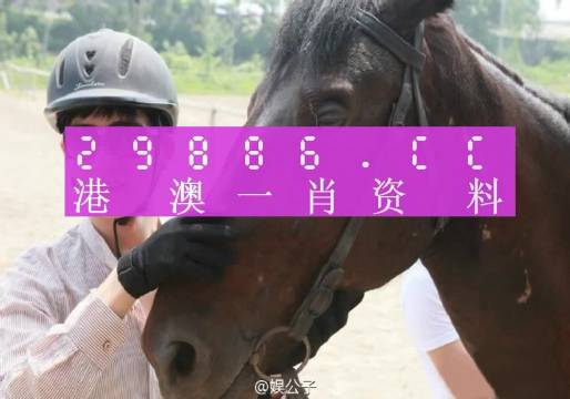 澳门一肖一码必中一码,经典解释落实_游戏版256.183