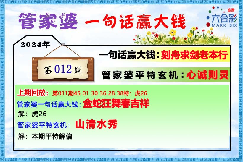 管家婆2024精准资料成语平特,预测说明解析_尊贵版68.740