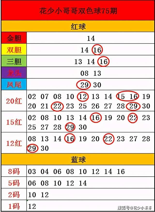 白小姐今晚特马期期准六,科学基础解析说明_XP71.386