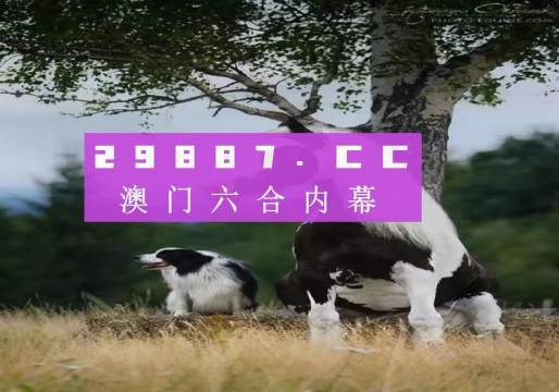 澳门跑狗,快速响应计划分析_特供版57.342