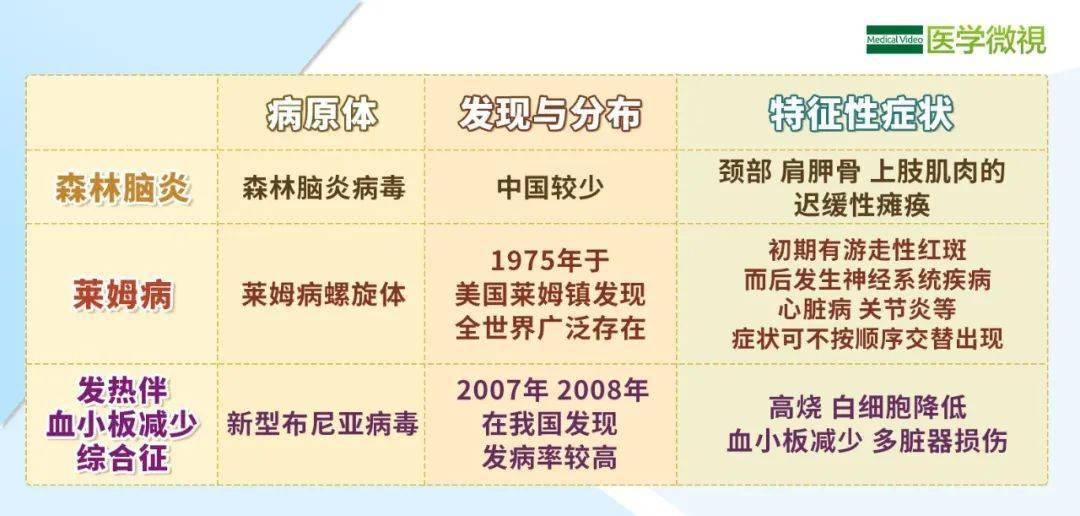 2024新澳门六长期免费公开,精细解读解析_3D68.379