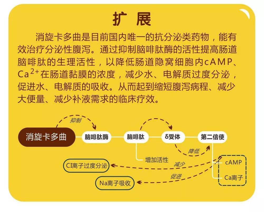 2024香港图库免费资料大全看,准确资料解释落实_优选版2.332