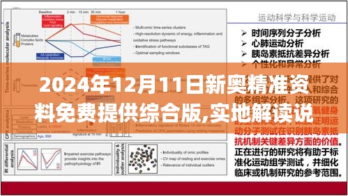 2024新奥资料免费精准071,实践性执行计划_T60.175