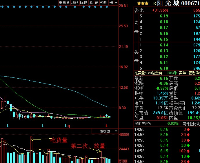 大三巴免费资料一肖,实用性执行策略讲解_经典版172.312