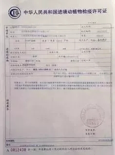 定州市防疫检疫站最新人事任命及其深远影响，定州市防疫检疫站人事任命新动态及其深远影响力分析